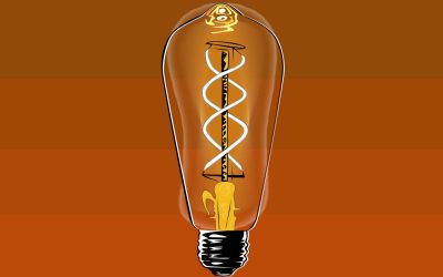 Course Notes: Three Lectures on Knowledge